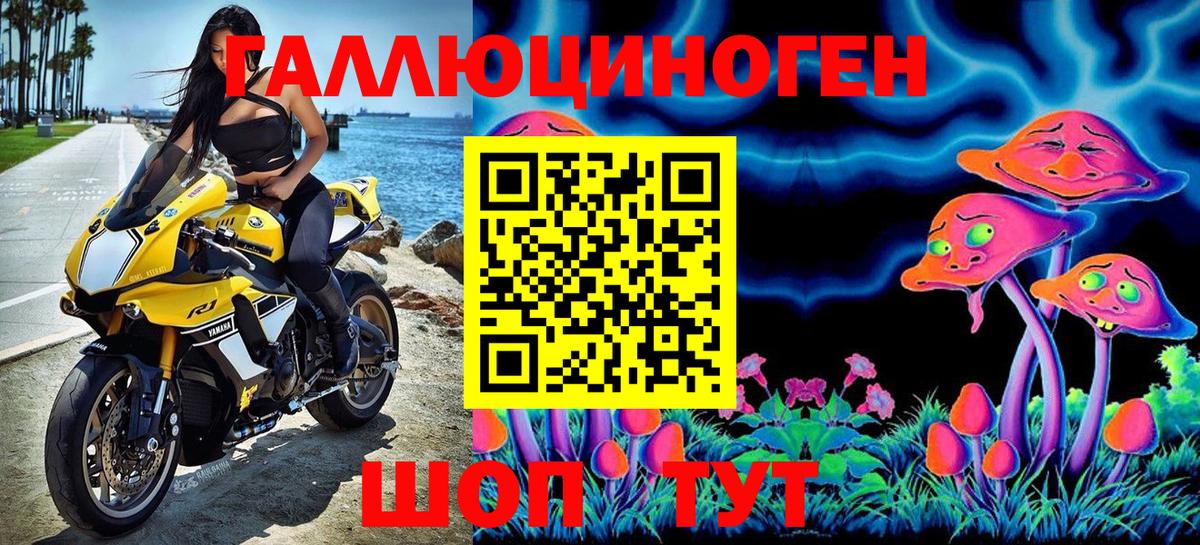 Псилоцибиновые грибы Psilocybine cubensis Балтийск