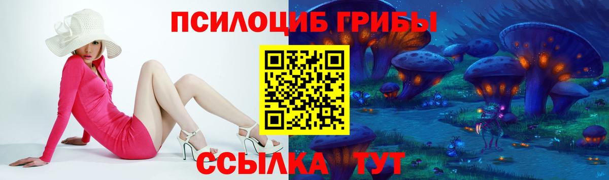 Псилоцибиновые грибы MAGIC MUSHROOMS  Псилоцибиновые грибы Psilocybine cubensis  Балтийск  Вход с VPN 
